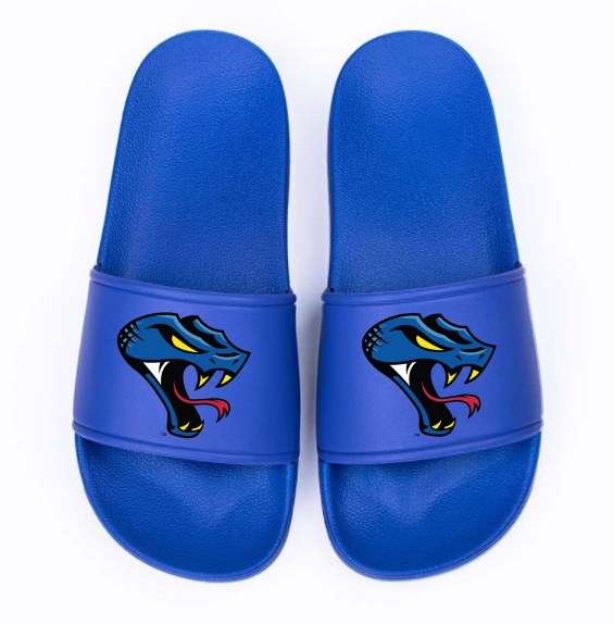 Team Slides