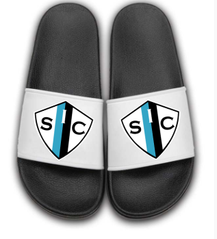 Team Slides